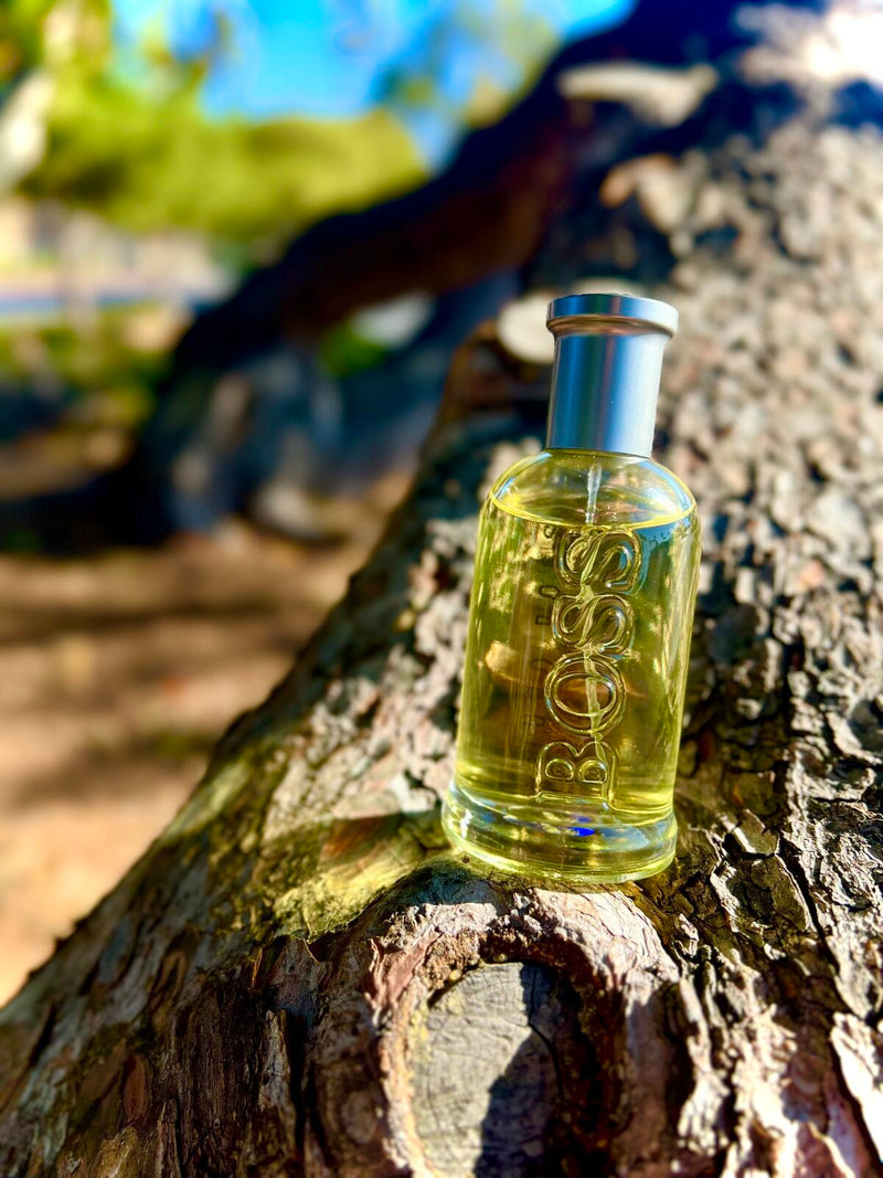 🏆 Trío BOSS – Unlimited, Night & Bottled 🏆